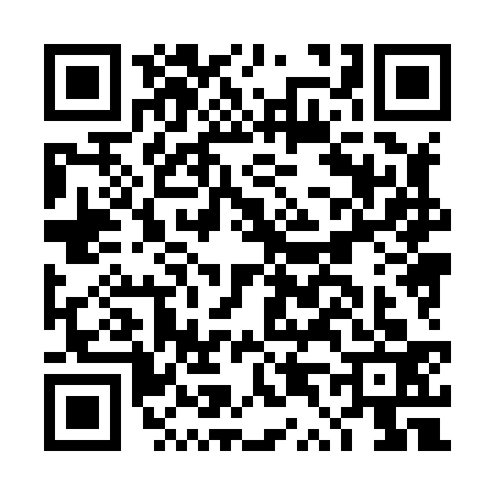 QR code for DT88334