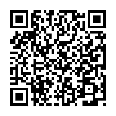 QR code for DT88507