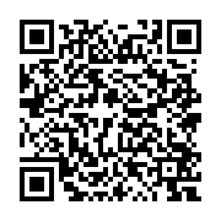 QR code for DT97438