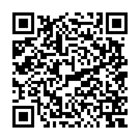 QR code for DV04667