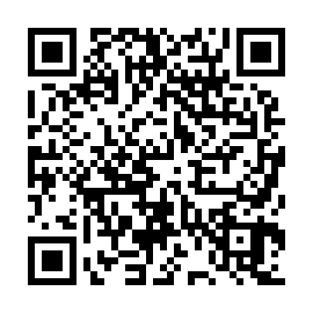 QR code for DV09603