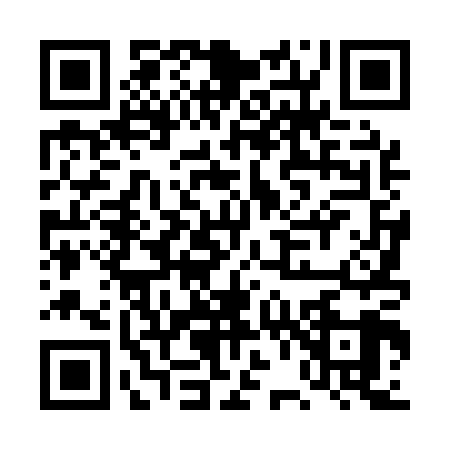QR code for DV41095