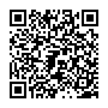 QR code for DV63033