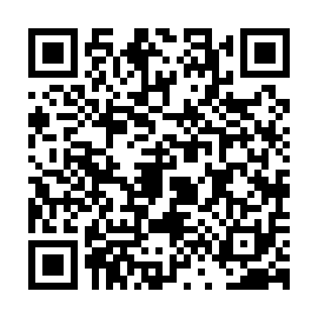 QR code for DV81111