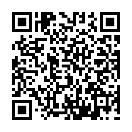 QR code for DV90206