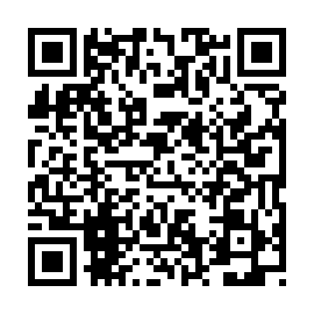 QR code for DV95597