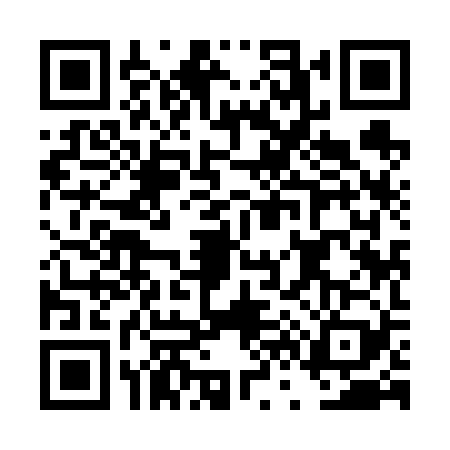 QR code for DV96290