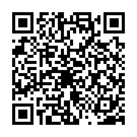 QR code for DW13313
