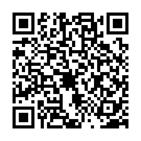 QR code for DW13382