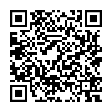 QR code for DW98295
