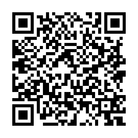 QR code for DW99208