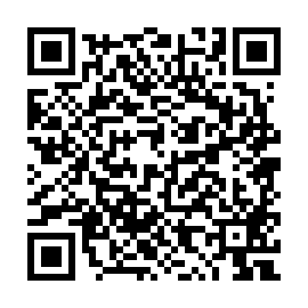 QR code for DX06894