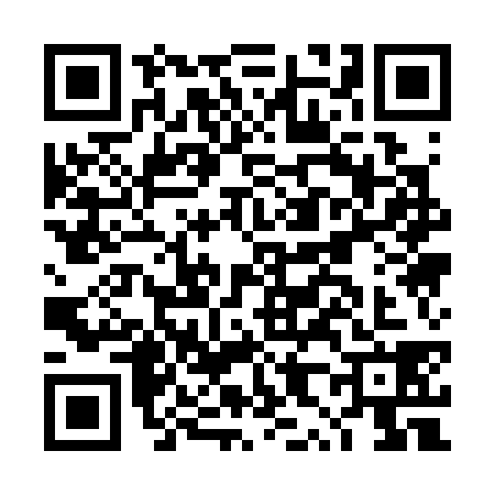 QR code for DX13389