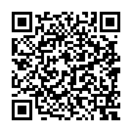 QR code for DX80938