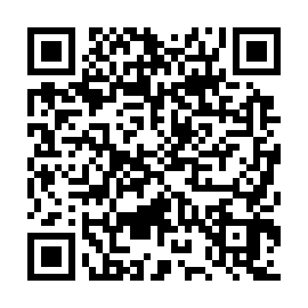 QR code for DY03438