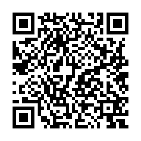 QR code for DZ29221