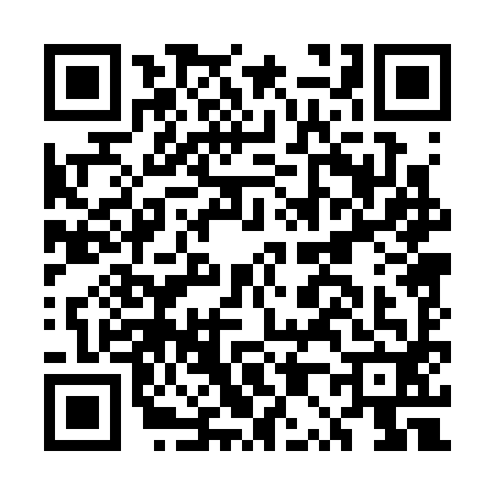 QR code for EP03925