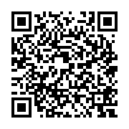QR code for EP12085