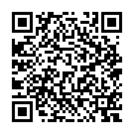 QR code for EP13119