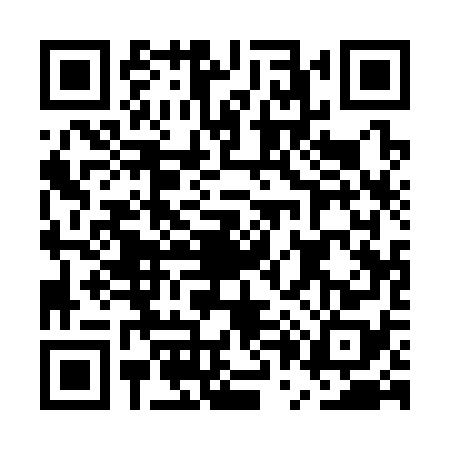 QR code for EP13787