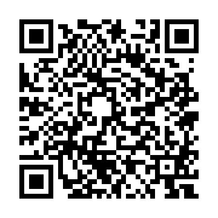 QR code for EP13818