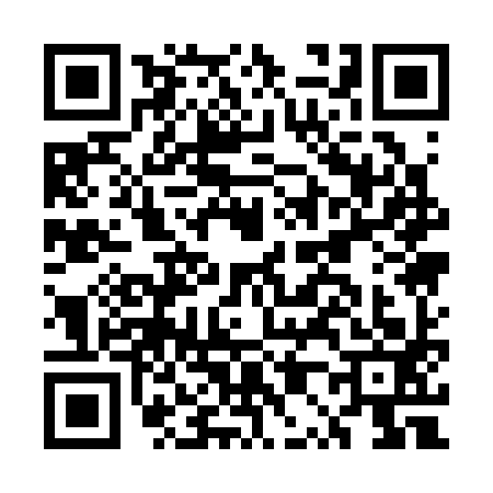 QR code for EP13936