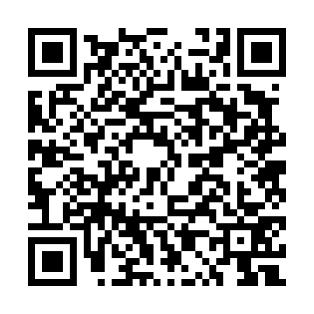 QR code for EP24733