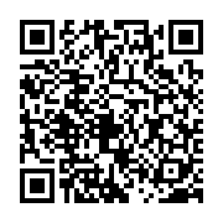 QR code for EP33690
