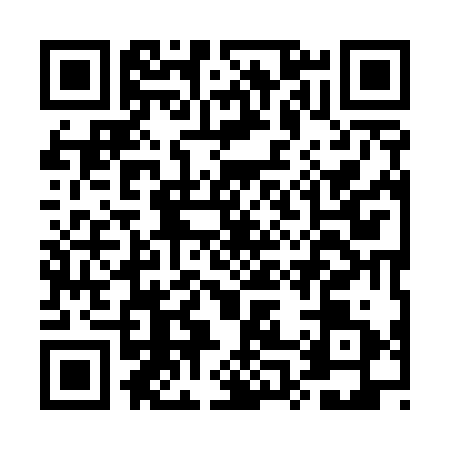 QR code for EP95319