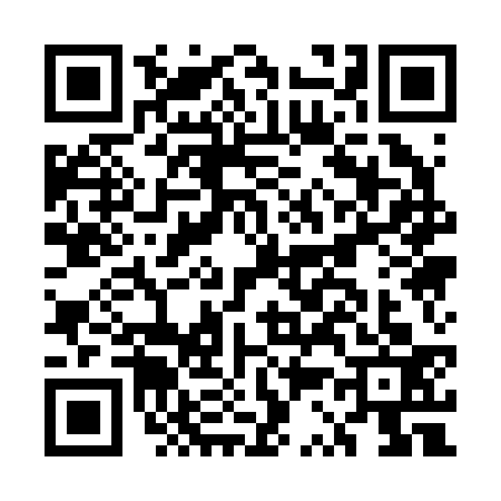 QR code for ES12333