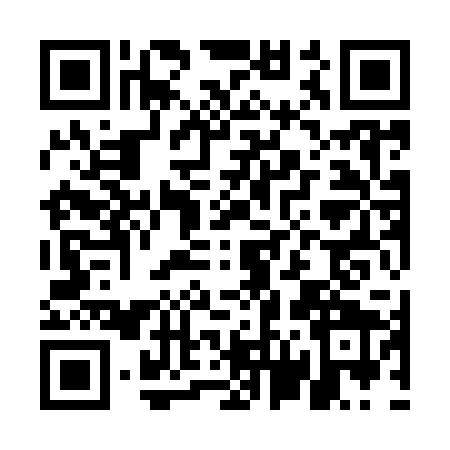 QR code for EV99295
