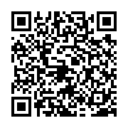 QR code for FB96313