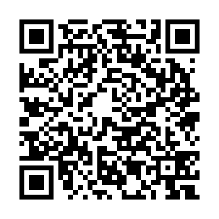 QR code for FE12397