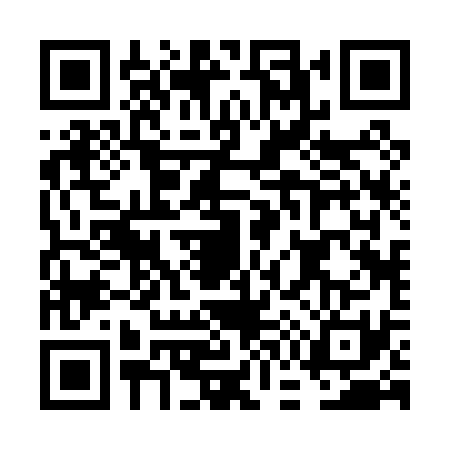 QR code for FG20311