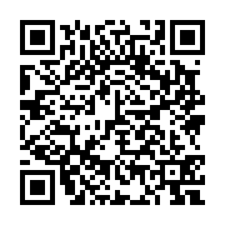 QR code for FG90317
