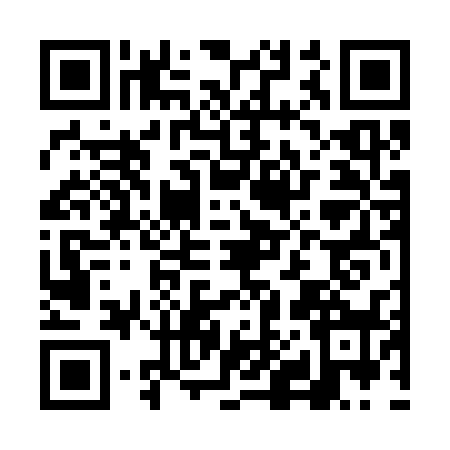 QR code for FH63382