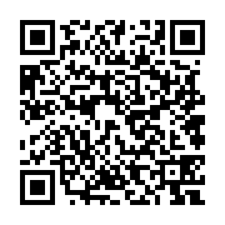 QR code for FH65384