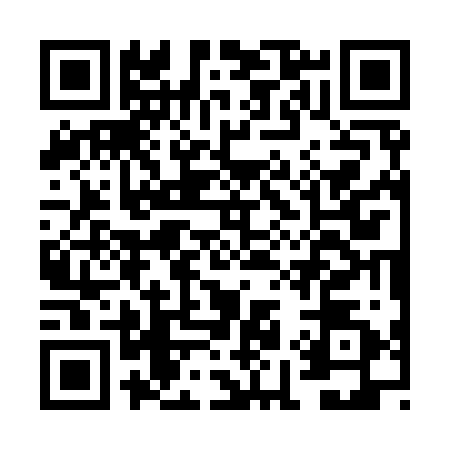 QR code for FI39228