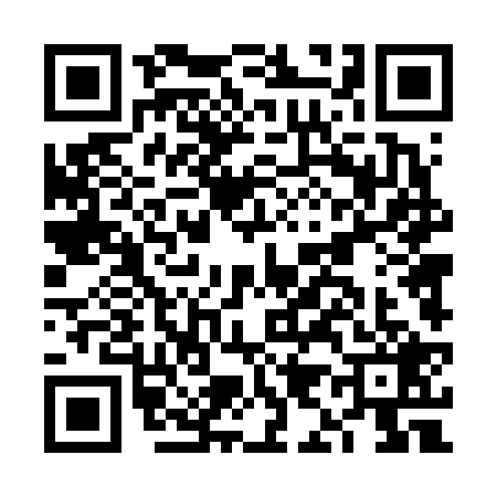 QR code for FI46295