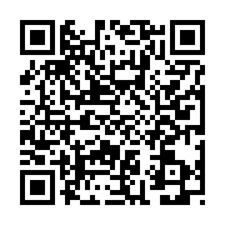 QR code for FI46338