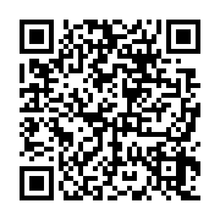 QR code for FI87384