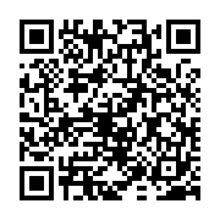 QR code for FJ29738