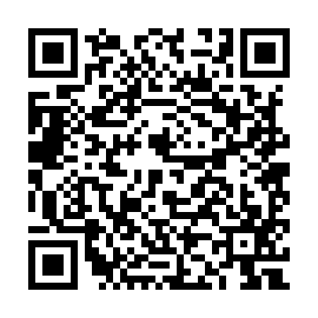 QR code for FJ29979
