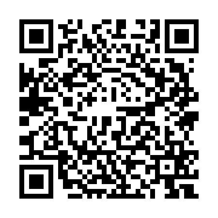 QR code for FJ96653