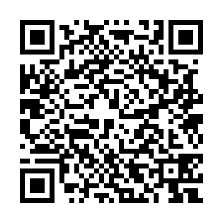QR code for FL35381