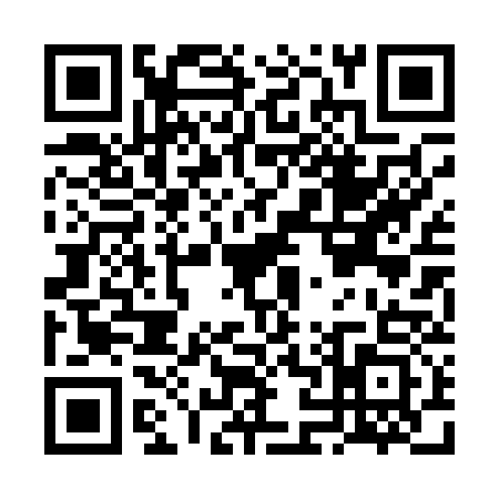 QR code for FN00333