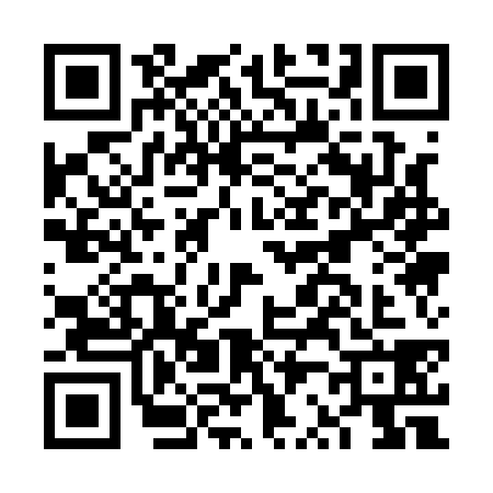 QR code for FR11385