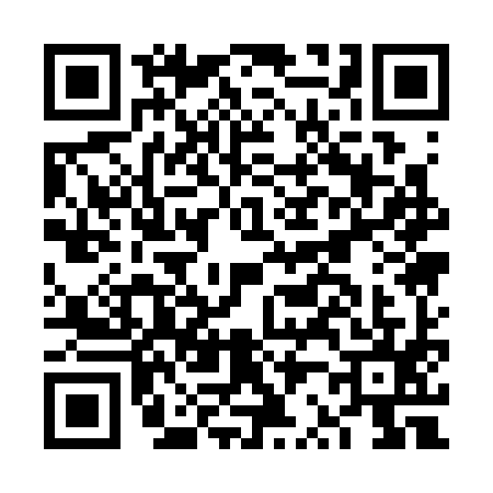 QR code for FR13951