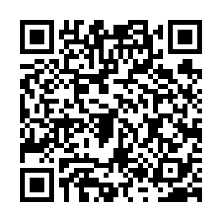 QR code for FR46380