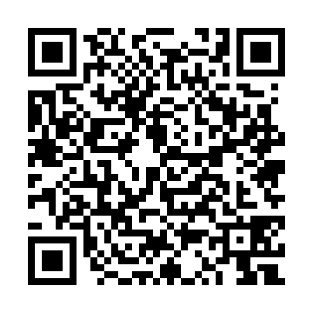 QR code for FS57384